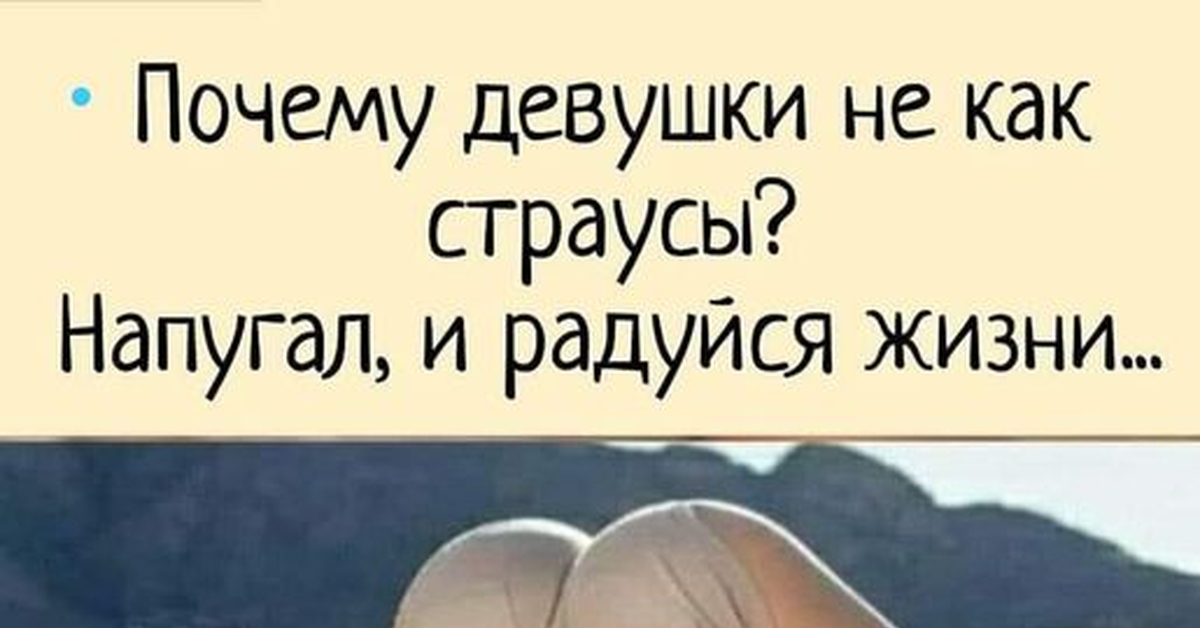 Действительно, почему? - Девушки, Отношения, Юмор, Картинка с текстом, Попа, Страус