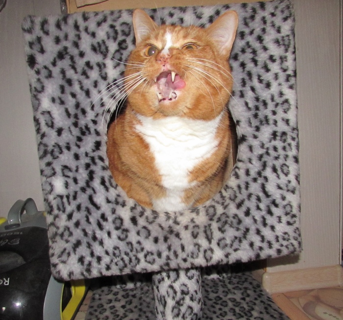 ��� � �����