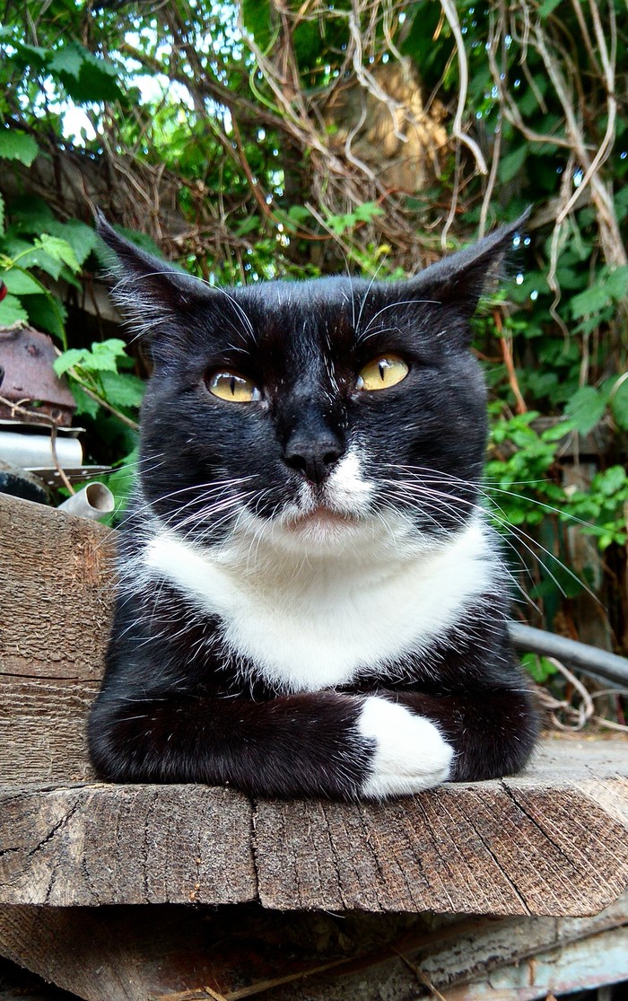 �� �� � ��� ���, ��������...