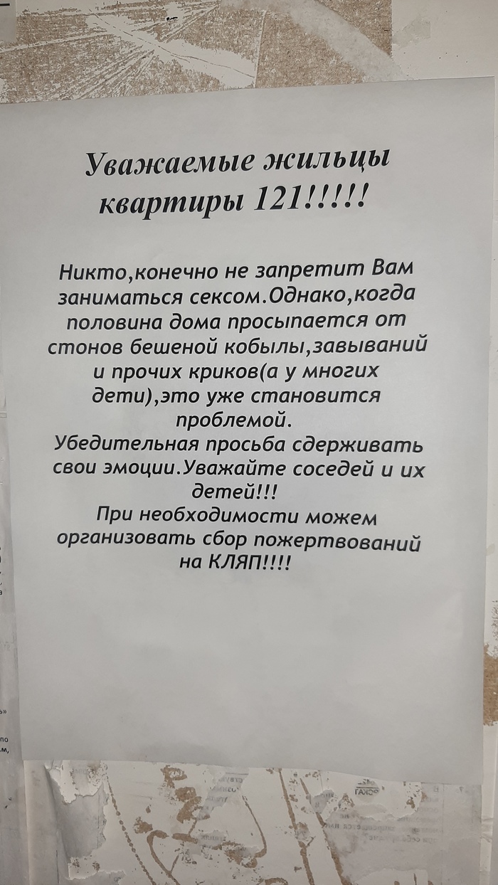 Мешают: истории из жизни, советы, новости, юмор и картинки — Все посты |  Пикабу