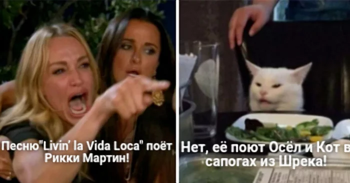 Argument with a girl - Shrek, Livin la vida loca, Ricky Martin, Two women yell at the cat