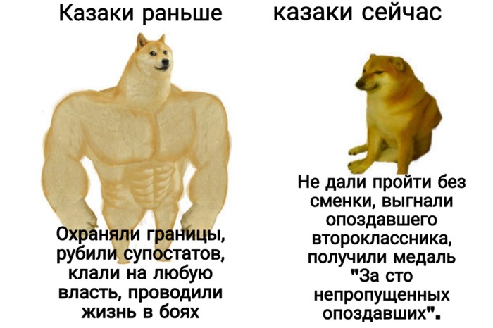             100%   , , ,  ,  ,   , , Doge