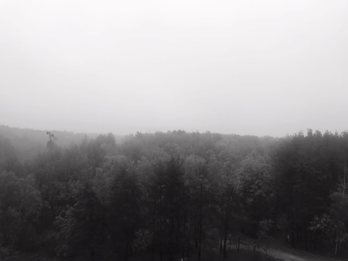 "�������" ���� ����