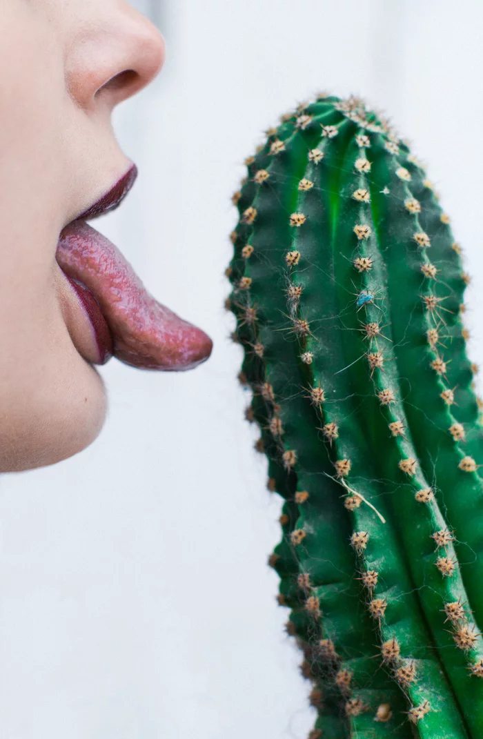 Taste me - My, Cactus, Language, The photo