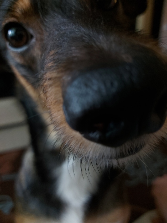 �����������...