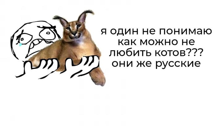  , !