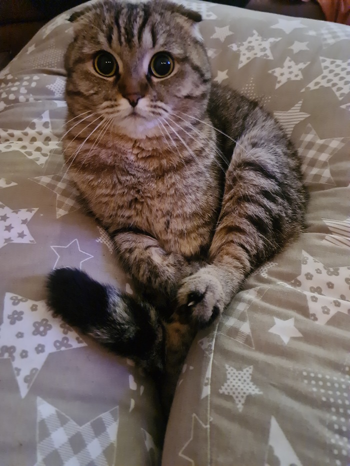   .   "  ?!"
