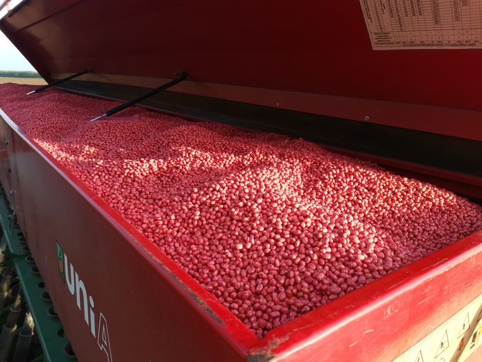 Будни агронома. Посев сои