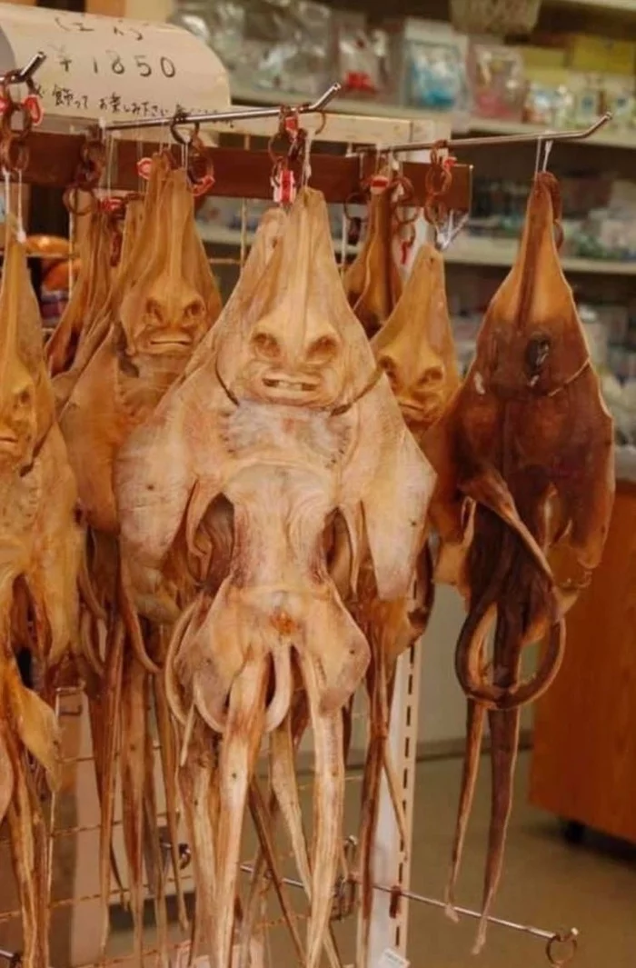 Dried stingrays are very harsh - Stingray, Severity, Humor, Images, Pareidolia