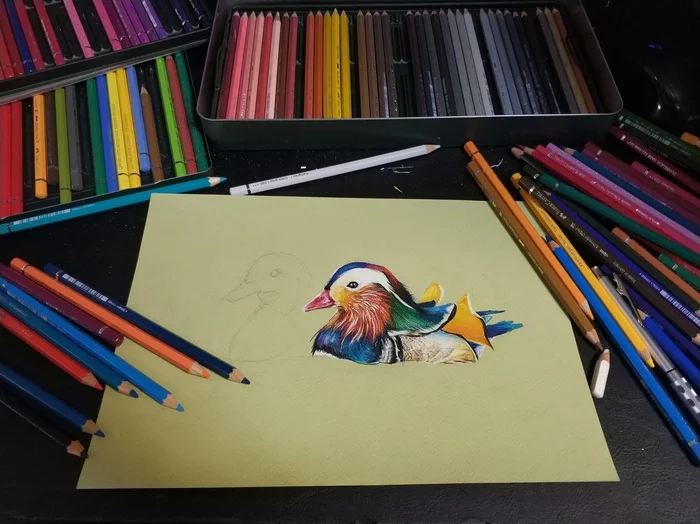 Tangerine. Process - My, Mandarin duck, Watercolor pencils, Drawing, Drawing lessons, Art, Sketch