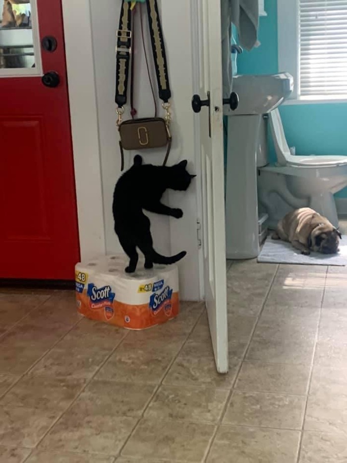 Планируется нападение