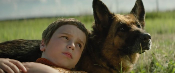 Новинки кино появившиеся в сети на 22.05.2021 Новинки кино, Киноновинки на торрентах, Фильмы, Подборка, Видео, Длиннопост