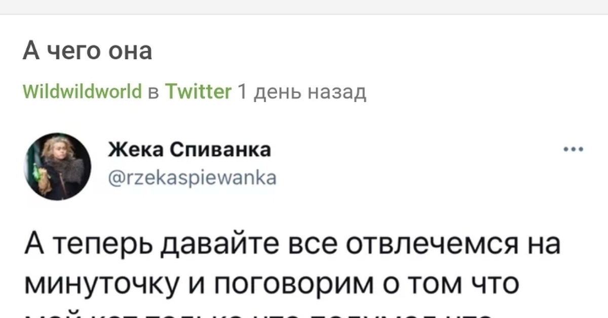 Твиттер - Twitter, Скриншот, WTF, Длиннопост