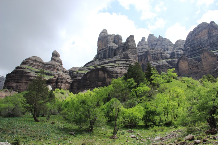 В заказнике Чильдухтарон Природа, Горы, Весна, Таджикистан, Длиннопост