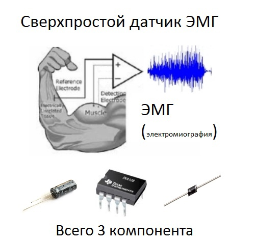 Neural interface of 3 parts - My, Bionics, Neurotechnologies, The science, Longpost