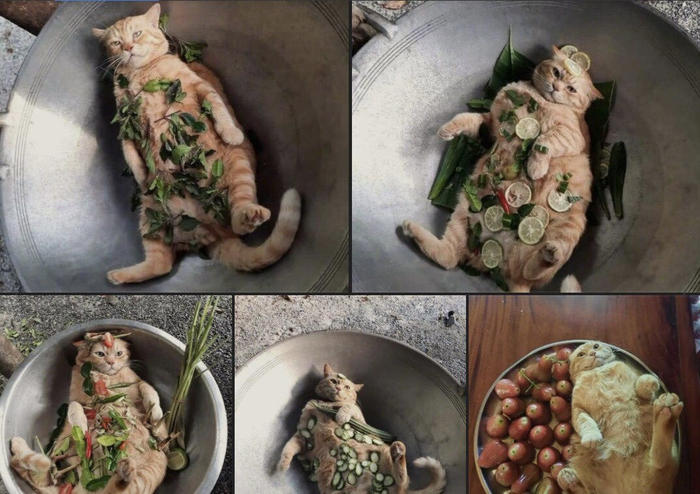 ������ ���� ��������� !!!