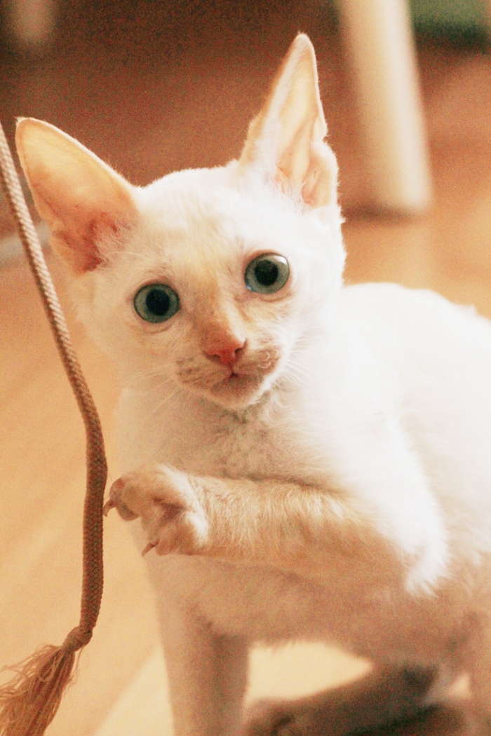 Я потрогаю?