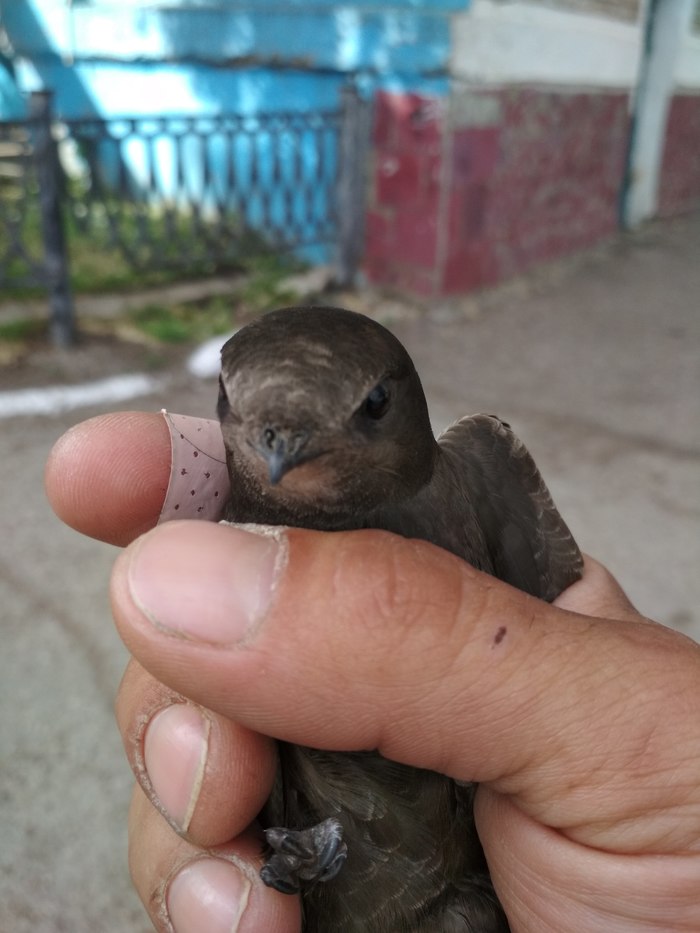 ��� ������ �� �������. ��� ��� �����