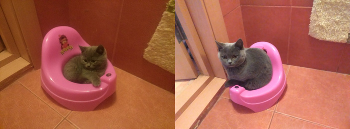 Увеличилась в размерах