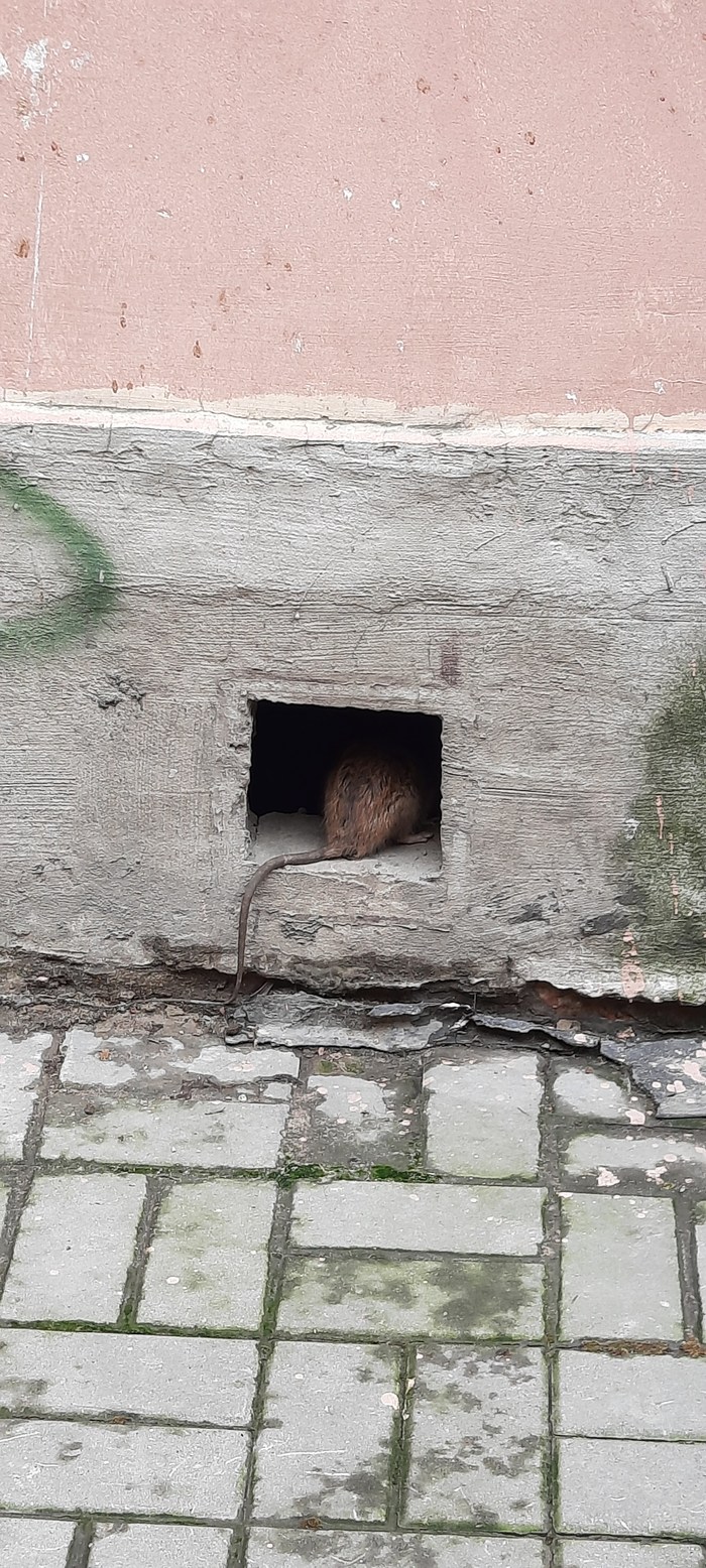 Свой скромный особнячок