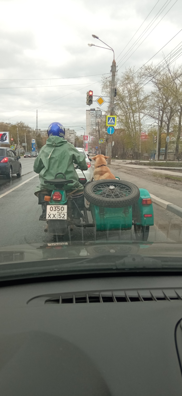 Верный друг