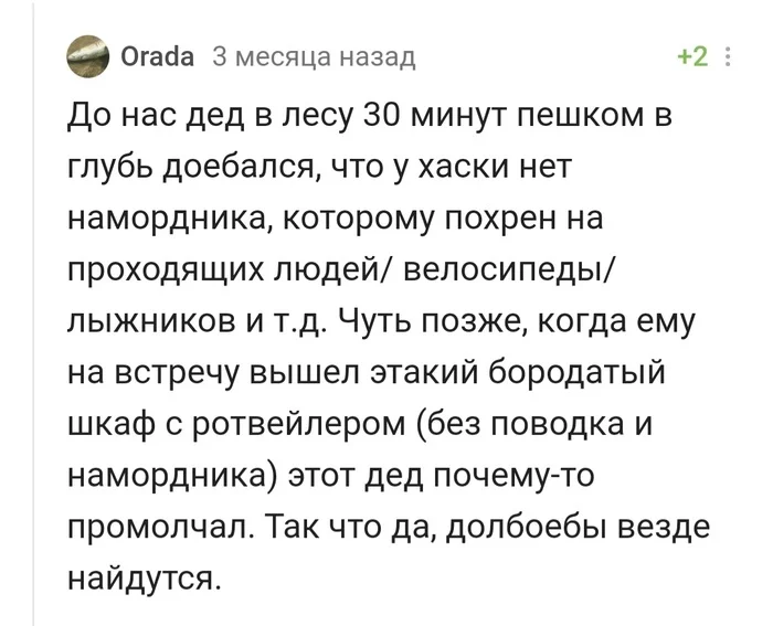 Нечто вечно-типичное: а шкаф-то я и не заметил - Собака, Лес, Встреча, Намордник, Юмор, Комментарии на Пикабу, Скриншот