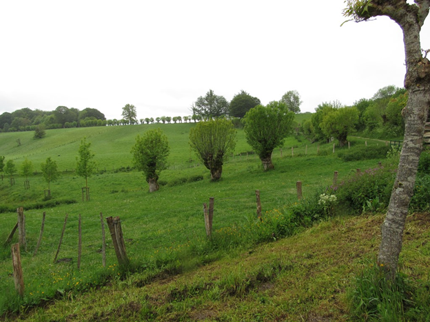 2. Walking in Spain. I've been wandering around shelters since childhood... - Travels, Tourism, Spain, Camino, Longpost