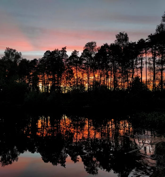 sunset reflection - My, Nature, Forest, Sunset, Evening, May, Walk, Russia, Lake, , Elk Island, Mobile photography