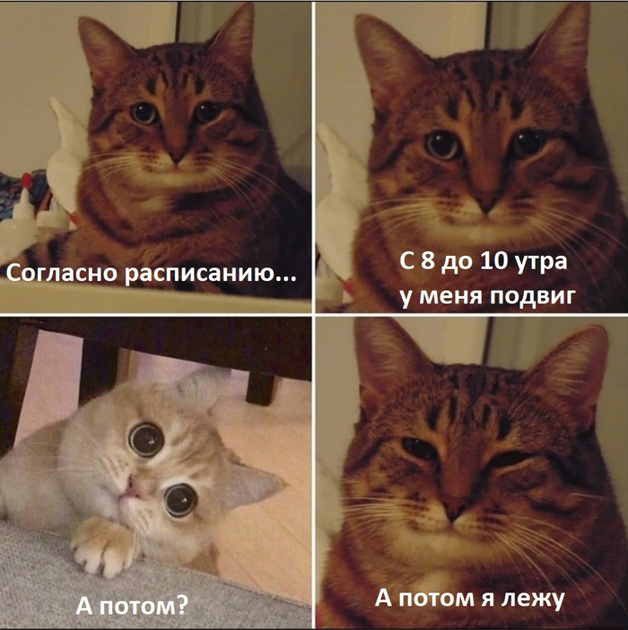 Немного о слове "подвиг" Cat_cat, История, Подвиг, Русский язык, Слова, Длиннопост