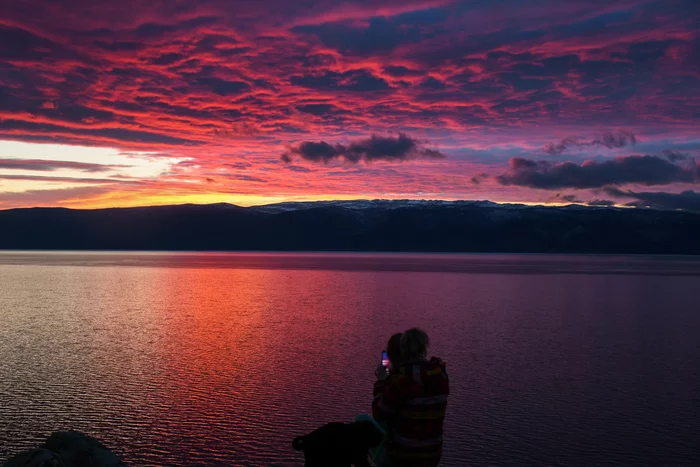 Sunsets like this - My, Baikal, Olkhon, Sunset, Dog, Sky, Longpost