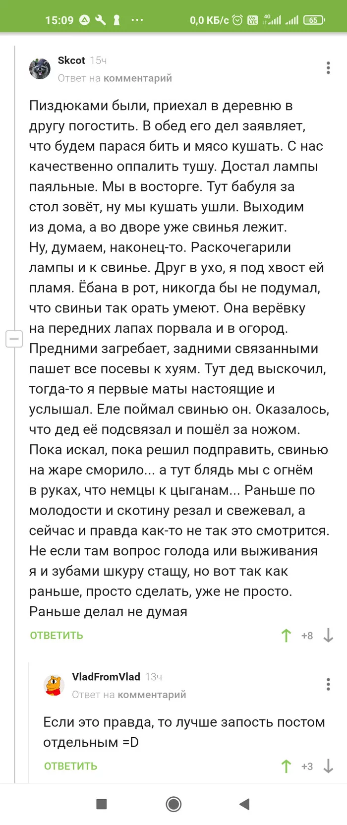 Тяжелая доля порося в Русской деревне - Деревня, Свинья, Длиннопост, Комментарии на Пикабу, Скриншот