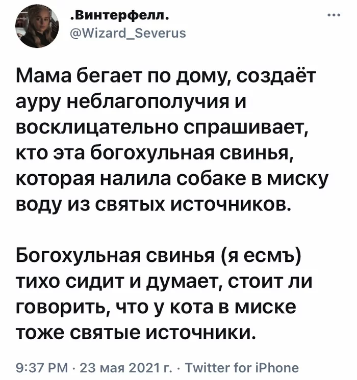 Святые источники - Юмор, Скриншот, Twitter, Кот, Собака, Святая вода