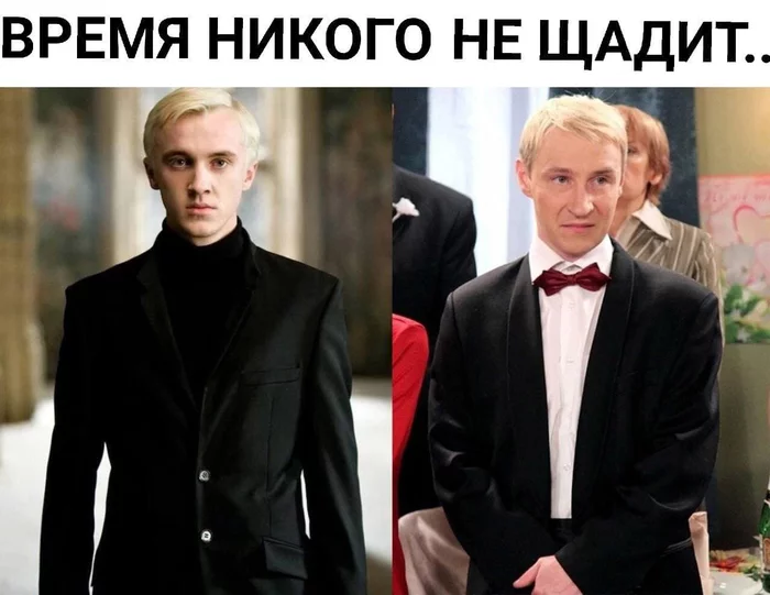 What a horror - Harry Potter, Strange humor, Draco Malfoy, Andrey Kaykov, Picture with text, Tom Felton, Actors and actresses, Similarity, , 6 frames