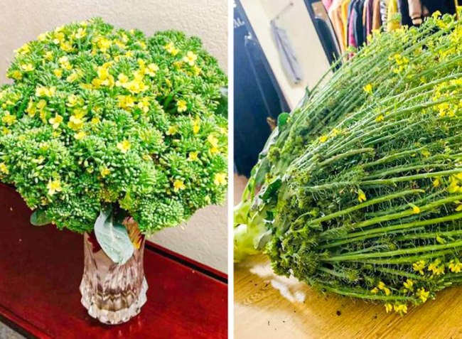 You open the refrigerator, and he gives you a bouquet like that - Broccoli, Bouquet, Bloomed, Reddit, ADME, The photo