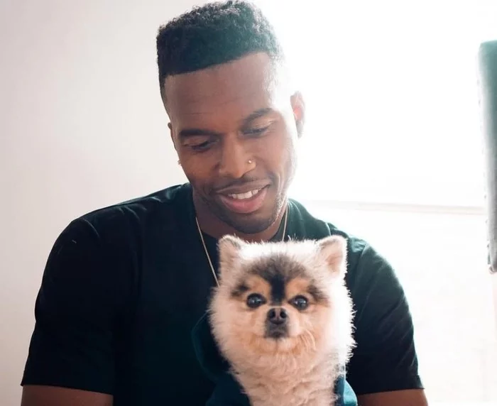 The rapper sued footballer Sturridge. - Spitz, Football, Dog, Theft