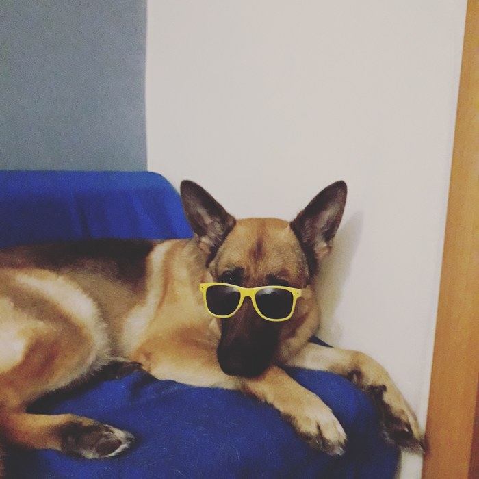  ! , ,  , 