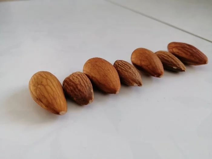 Almond - My, Almond, Nuts, Cunning, Life hack, Hike, Longpost