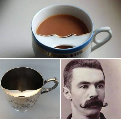 Seagull, in Budyonnovsk? - Усы, Victorian era, Tea, Life hack, England, Porcelain, Manners, 19th century, , 9GAG, Translation, From the network
