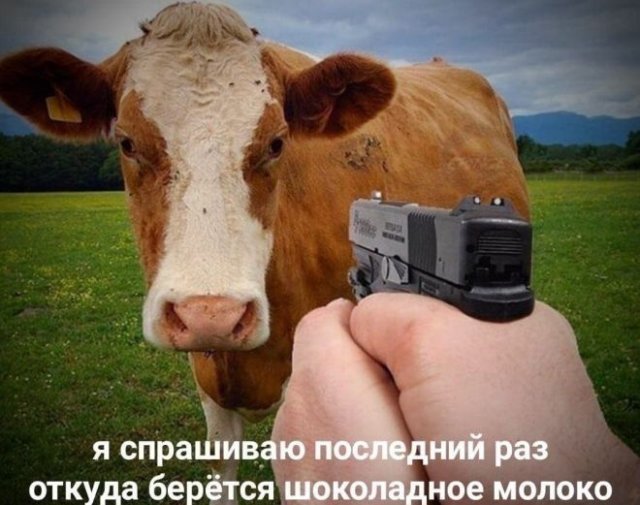 Indeed - Absurd, Dank memes, Cow, Picture with text, Pistols