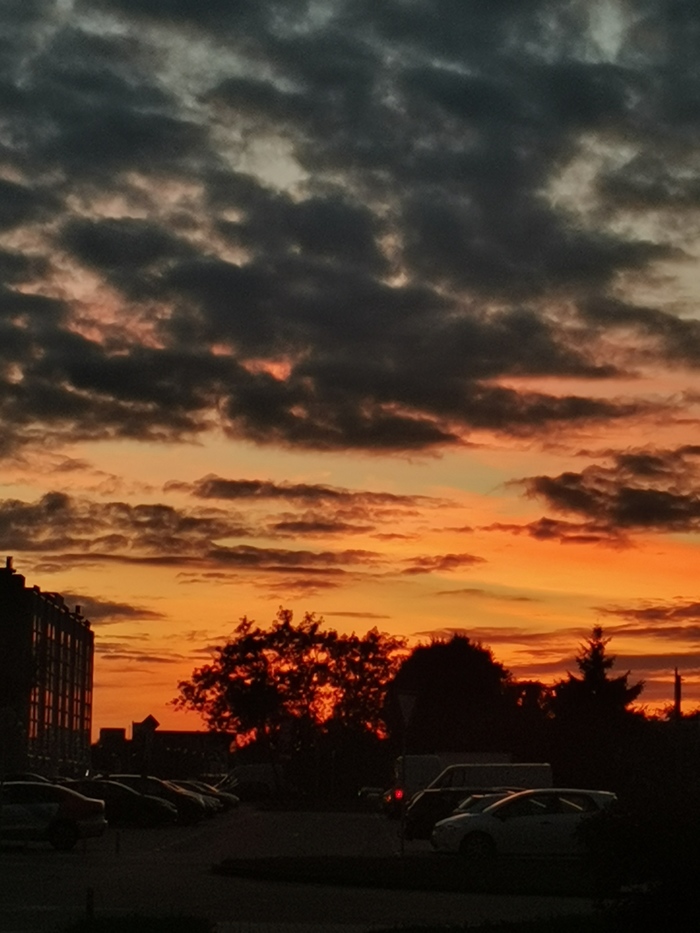 ����� �� ���� "���, ���������"