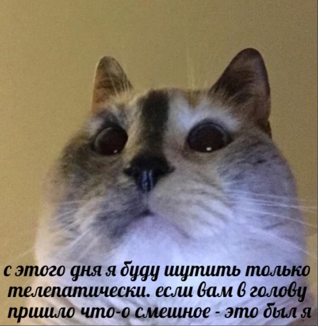 Не благодарите