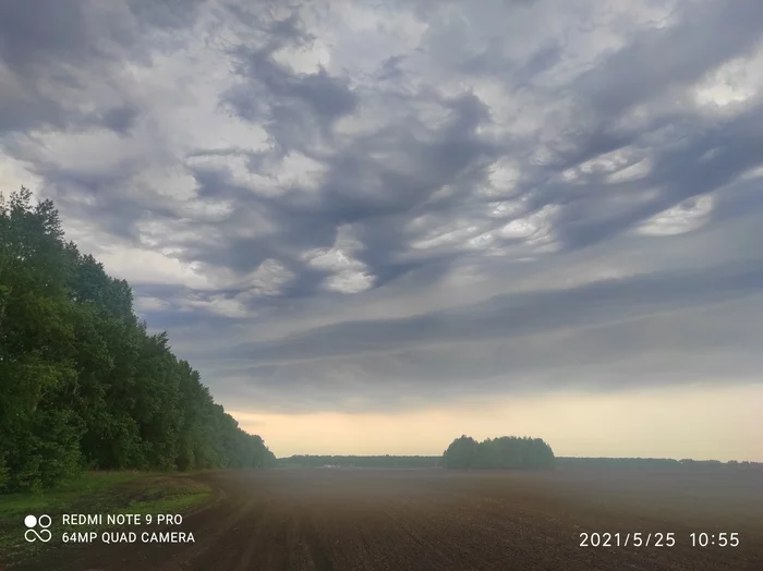 Sky before the rain. Novosibirsk region - My, Sky, Field