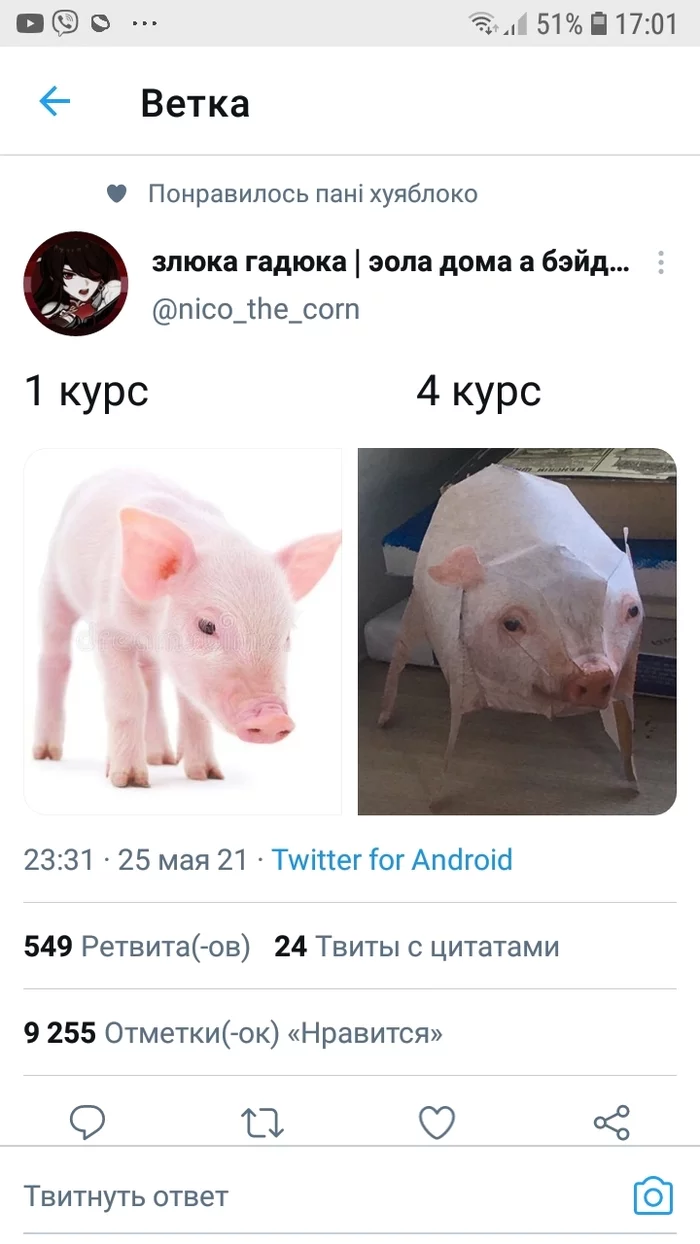 Высшее образование - Twitter, Учеба, Свинья