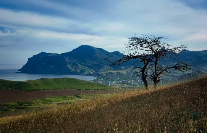 Spring Kara-Dag - My, Crimea, Spring, Kara-Dag, Koktebel, Feodosia, The photo, Nature, Landscape