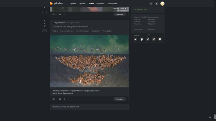 � ���� ������ ���������...