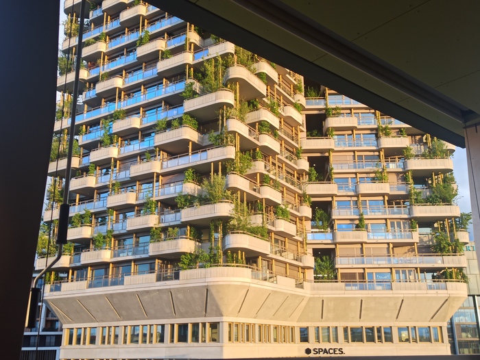 Архитектура