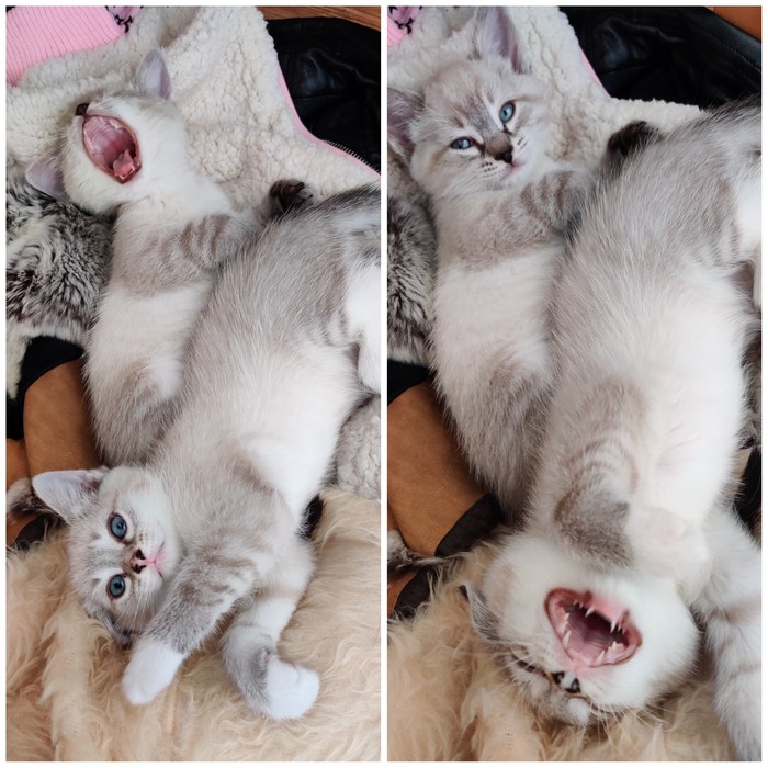 ���� � ������