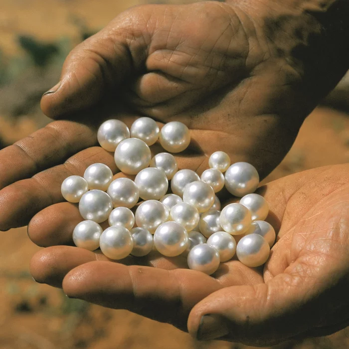 History of Pearls: One of Nature's Greatest Wonders (Part 1) - My, Gems, Decoration, Pearl, PEARLS, A bracelet, Brooch, Earrings, Nacre, , Necklace, Ring, Necklace, Story, Jewelry, Wonders of nature, Jewelry, Jewelcrafting, Longpost