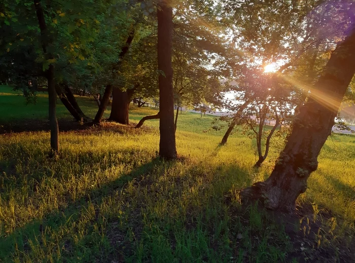 Lublin park - My, The photo, Mobile photography, Moscow, Lyublino, Evening, Longpost