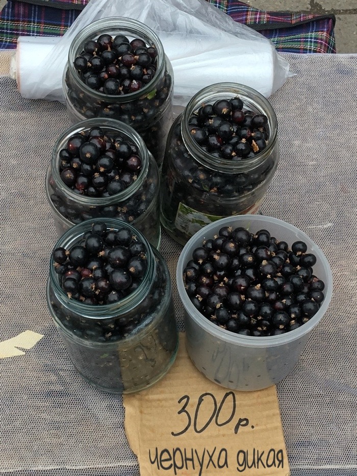 Сами напросились